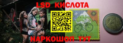 дживик Аша