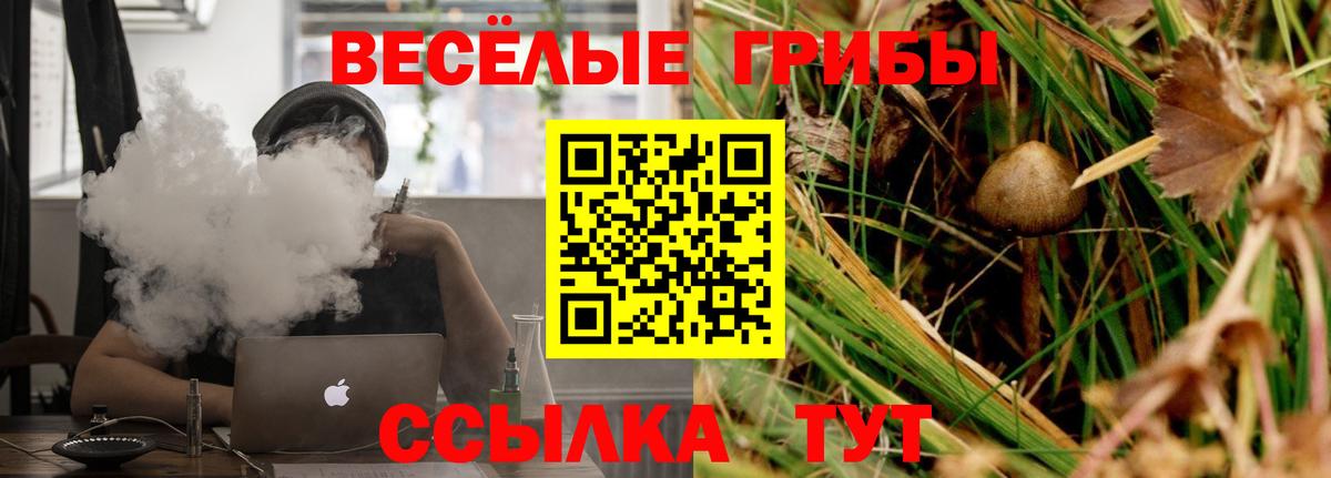 Шатура  Псилоцибиновые грибы Psilocybine cubensis  Псилоцибиновые грибы MAGIC MUSHROOMS  Вход с VPN 