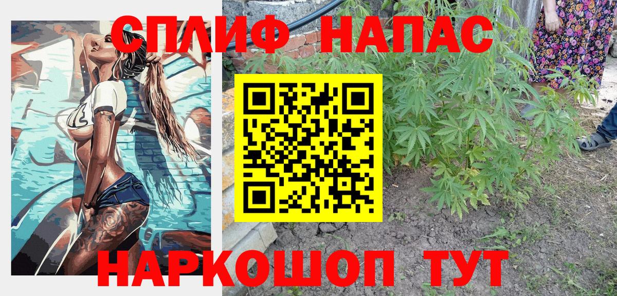 APVP Шатура